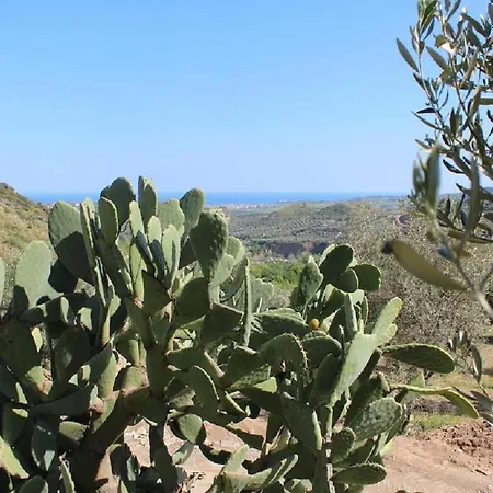 Podere Pansera Gospodarstwo agroturystyczne Petrizzi