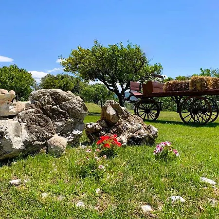 Gospodarstwo agroturystyczne Podere Pansera Petrizzi