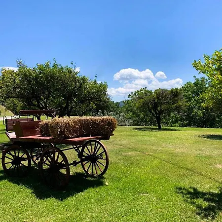 Podere Pansera Gospodarstwo agroturystyczne