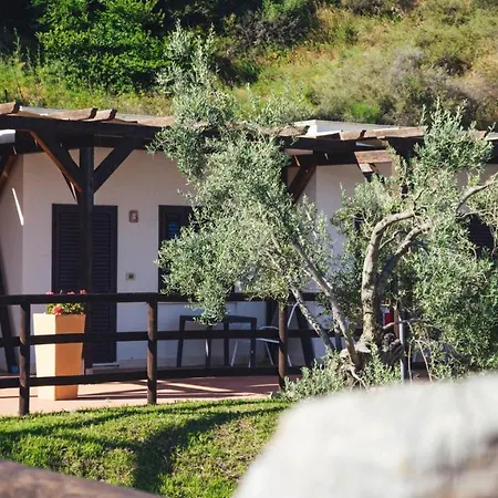 Podere Pansera Gospodarstwo agroturystyczne Petrizzi