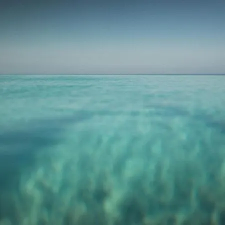 Gospodarstwo agroturystyczne Podere Pansera *