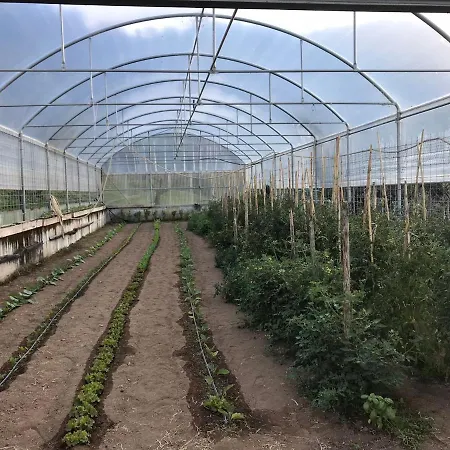 Gospodarstwo agroturystyczne Podere Pansera Petrizzi