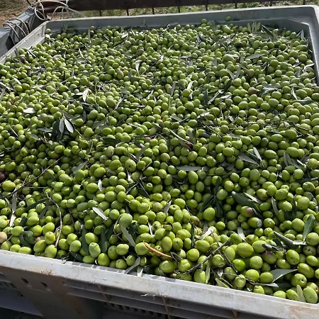 Podere Pansera Bauernhof *