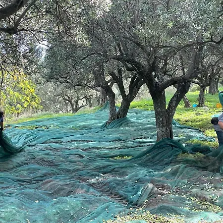 Bauernhof Podere Pansera Petrizzi