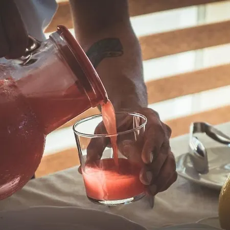 Podere Pansera Gospodarstwo agroturystyczne Petrizzi