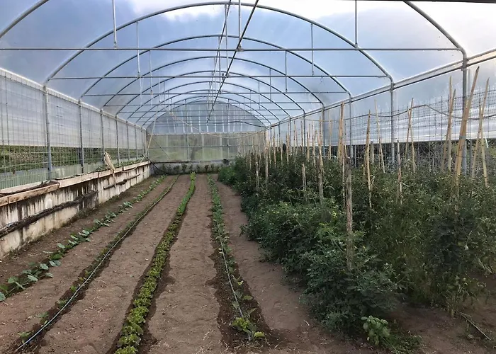 Alojamento de Turismo Rural Podere Pansera Petrizzi