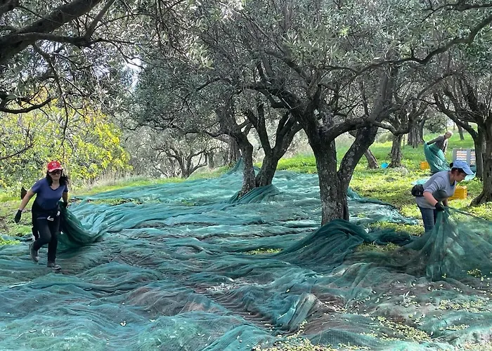 Alojamento de Turismo Rural Podere Pansera Petrizzi