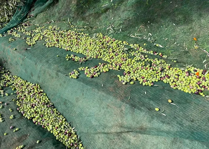 Alojamento de Turismo Rural Podere Pansera *